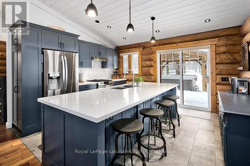 225 St Arnaud Street, Grey Highlands, ON - Indoor Photo Showing Kitchen With Double Sink With Upgraded Kitchen