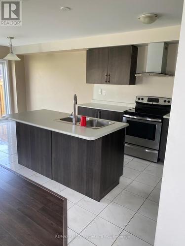 101 English Lane, Brantford, ON - Indoor Photo Showing Kitchen With Double Sink