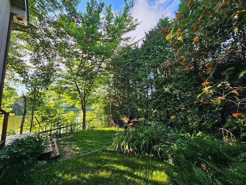 Backyard - 6620 Rue St-Pierre O., Saint-Hyacinthe, QC - Outdoor