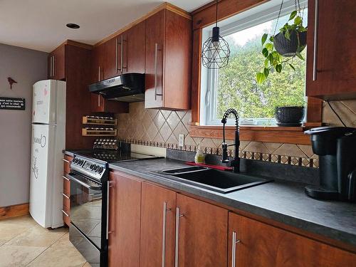 Kitchen - 6620 Rue St-Pierre O., Saint-Hyacinthe, QC - Indoor Photo Showing Kitchen With Double Sink