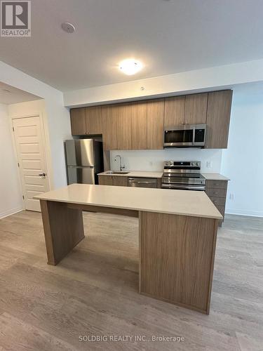 217 - 480 Gordon Krantz Avenue, Milton, ON - Indoor Photo Showing Kitchen