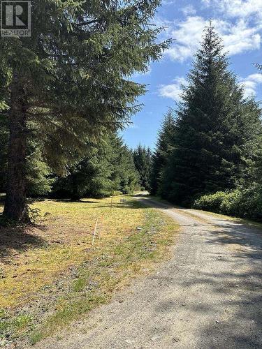 Lot 1-35314 16 Highway, Daajing Giids City, BC 