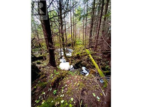 Lot 1-35314 16 Highway, Daajing Giids City, BC 