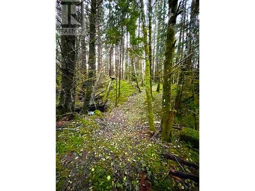 Lot 1-35314 16 Highway, Daajing Giids City, BC 