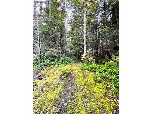 Lot 1-35314 16 Highway, Daajing Giids City, BC 