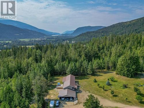 2510 Samuelson Road, Sicamous, BC - Outdoor With View