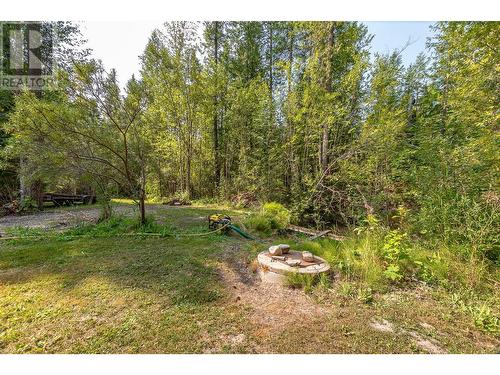 2510 Samuelson Road, Sicamous, BC - Outdoor