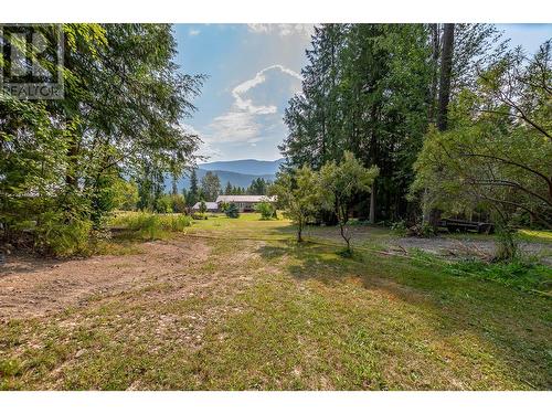 2510 Samuelson Road, Sicamous, BC - Outdoor With View