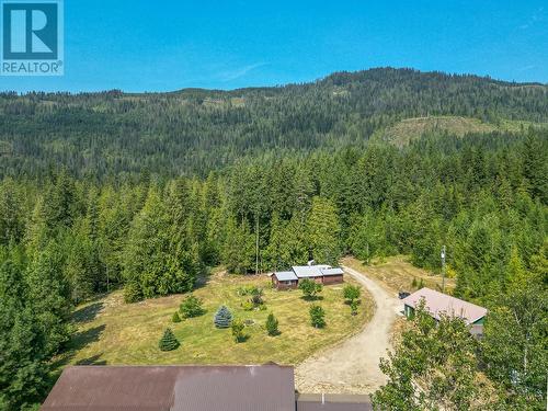 2510 Samuelson Road, Sicamous, BC - Outdoor With View