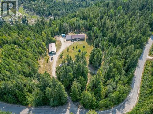 2510 Samuelson Road, Sicamous, BC - Outdoor With View