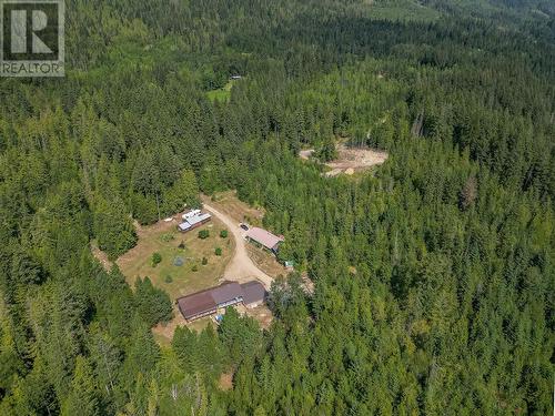 2510 Samuelson Road, Sicamous, BC - Outdoor With View