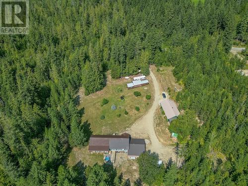 2510 Samuelson Road, Sicamous, BC - Outdoor With View