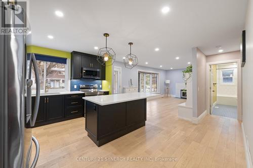 1515 Lepage Avenue, Ottawa, ON - Indoor Photo Showing Kitchen With Upgraded Kitchen