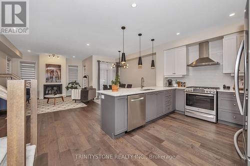 716 Twist Way, Ottawa, ON - Indoor Photo Showing Kitchen With Stainless Steel Kitchen With Upgraded Kitchen