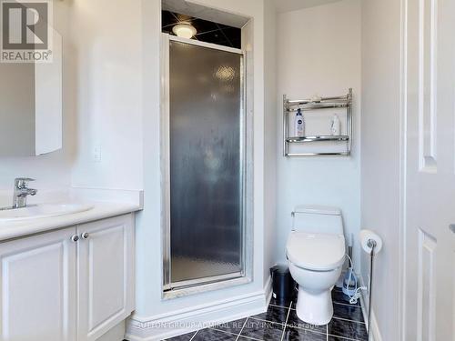 268 Forest Run Boulevard, Vaughan, ON - Indoor Photo Showing Bathroom