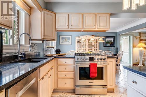 77 Prince Albert Street North, Kingsville, ON - Indoor Photo Showing Kitchen With Double Sink With Upgraded Kitchen