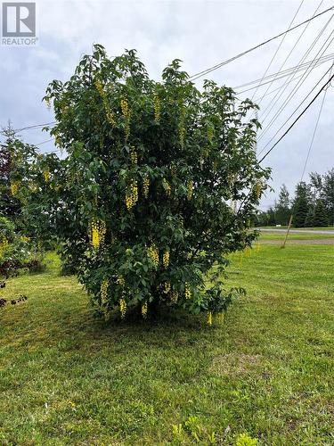 2 Sacrey'S Road, Botwood, NL - Outdoor