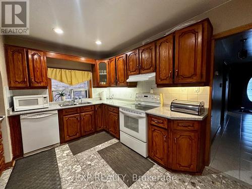 209 Cedric Avenue, Toronto, ON - Indoor Photo Showing Kitchen With Double Sink