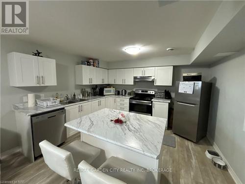 Lower - 34 Bounty Avenue, Thorold (560 - Rolling Meadows), ON - Indoor Photo Showing Kitchen With Double Sink