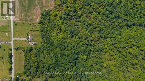 12264 Brawn Road, Wainfleet (880 - Lakeshore), ON - Outdoor With View