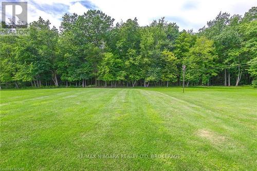 12264 Brawn Road, Wainfleet (880 - Lakeshore), ON - Outdoor