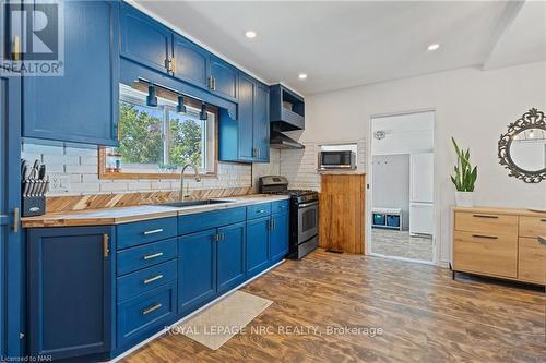 10 Monck Street, St. Catharines (458 - Western Hill), ON - Indoor Photo Showing Kitchen With Double Sink