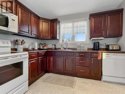 21 Woodford Drive, Mount Pearl, NL - Indoor Photo Showing Kitchen