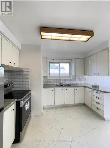 15 Champlain Avenue, Hamilton (Greenford), ON - Indoor Photo Showing Kitchen With Double Sink