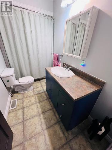 233 Main Road, York Harbour, NL - Indoor Photo Showing Bathroom