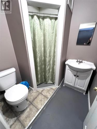 233 Main Road, York Harbour, NL - Indoor Photo Showing Bathroom