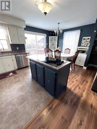 233 Main Road, York Harbour, NL - Indoor Photo Showing Kitchen With Double Sink