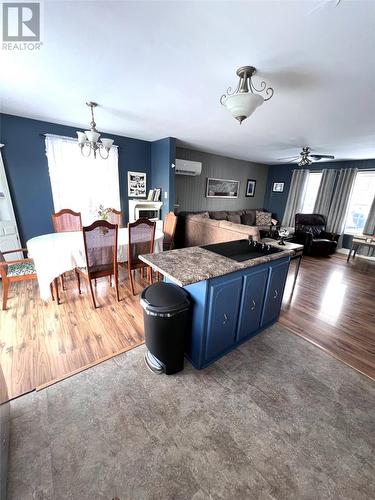 233 Main Road, York Harbour, NL - Indoor Photo Showing Kitchen