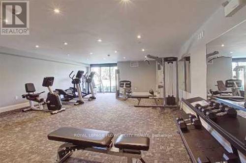 509 - 610 Farmstead Drive, Milton, ON - Indoor Photo Showing Gym Room