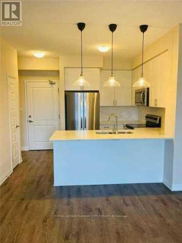 509 - 610 Farmstead Drive, Milton, ON - Indoor Photo Showing Kitchen With Double Sink