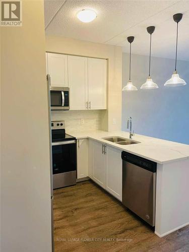 509 - 610 Farmstead Drive, Milton, ON - Indoor Photo Showing Kitchen With Double Sink