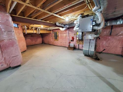 3 Sam Priestley Ave, Markham, ON - Indoor Photo Showing Basement