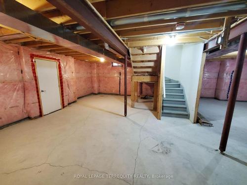 3 Sam Priestley Ave, Markham, ON - Indoor Photo Showing Basement