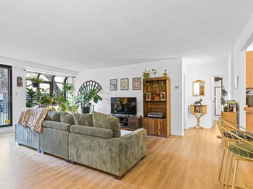 Salon - 101-3470 Rue Durocher, Montréal (Le Plateau-Mont-Royal), QC - Indoor Photo Showing Living Room