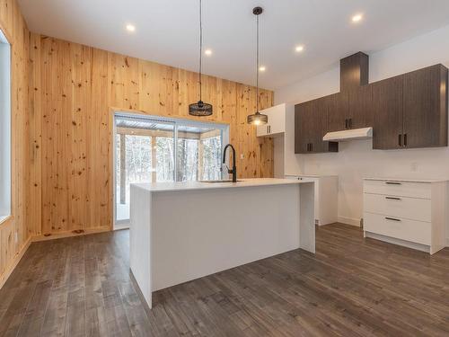 Cuisine - 160 Ch. Desjardins, Saint-Michel-Des-Saints, QC - Indoor Photo Showing Kitchen