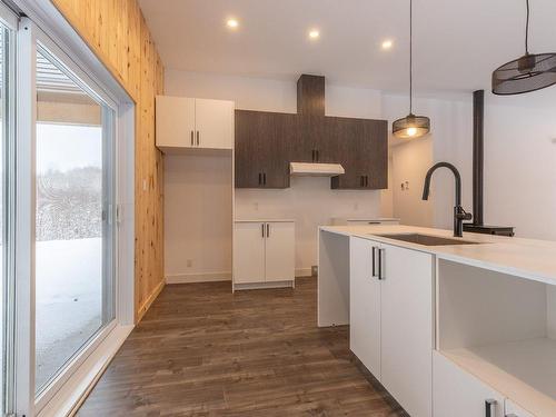 Cuisine - 160 Ch. Desjardins, Saint-Michel-Des-Saints, QC - Indoor Photo Showing Kitchen