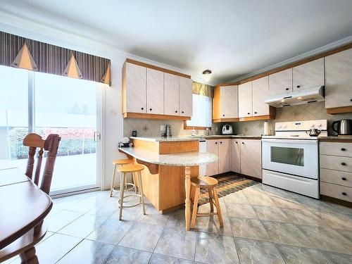 Kitchen - 4882 Rue Oscar-Houde, Shawinigan, QC - Indoor Photo Showing Kitchen