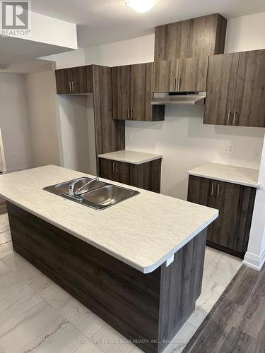 180 Franklin Trail, Barrie, ON - Indoor Photo Showing Kitchen With Double Sink