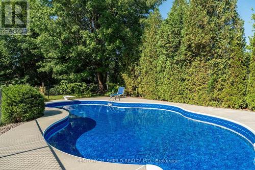 325 Ivan Crescent, Cornwall, ON - Outdoor With In Ground Pool With Backyard