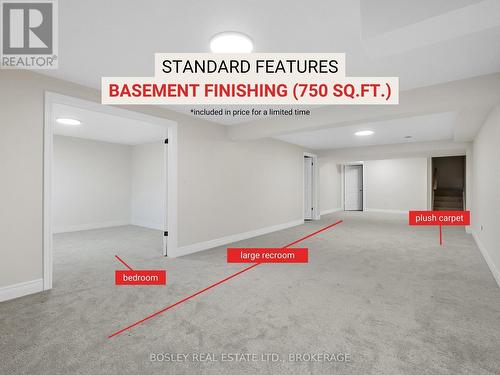 502 Royal Ridge Drive, Fort Erie (335 - Ridgeway), ON - Indoor Photo Showing Basement