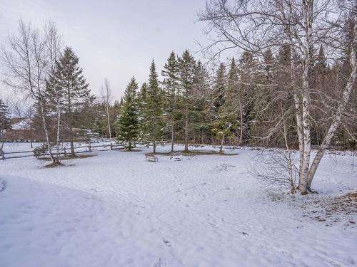 Terre/Terrain - 126 Route Principale, Saint-René, QC - Outdoor With View