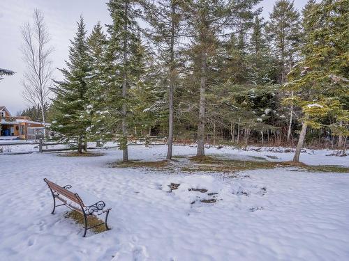 Terre/Terrain - 126 Route Principale, Saint-René, QC - Outdoor With View