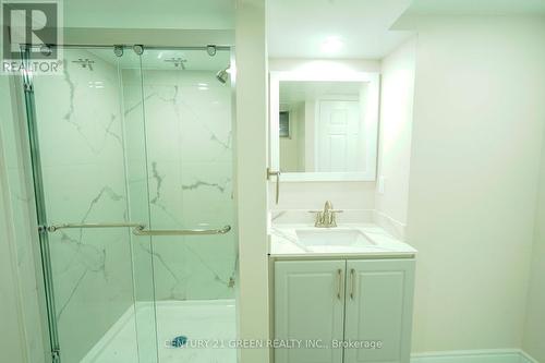 Bsmt - 123 Kingswood Drive, Brampton, ON - Indoor Photo Showing Bathroom