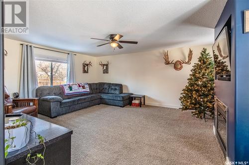 114 Manitoba Street, Pense, SK - Indoor Photo Showing Living Room