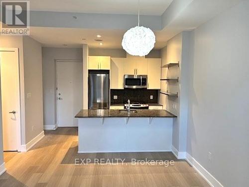 210 - 100 Champagne Avenue S, Ottawa, ON - Indoor Photo Showing Kitchen