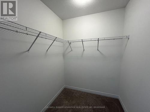 259 Port Crescent, Welland (774 - Dain City), ON - Indoor With Storage